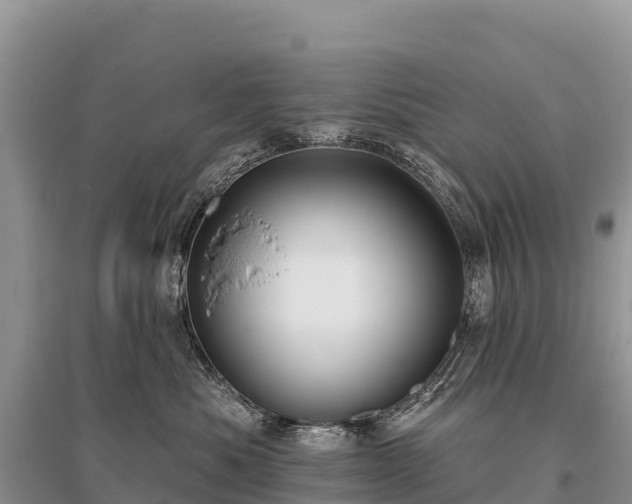 X0000096150525200801251107