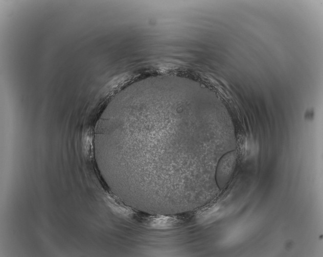 X0000096150527200801251107