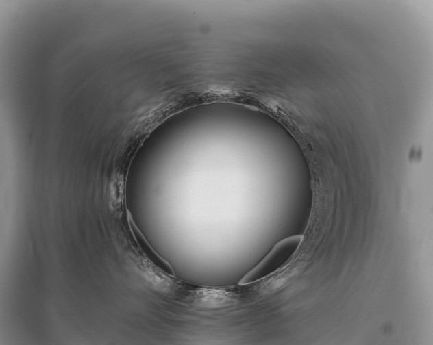 X0000096150528200801251107