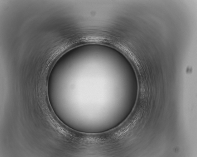X0000096150529200801251106
