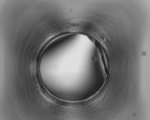 X0000096150530200801251106