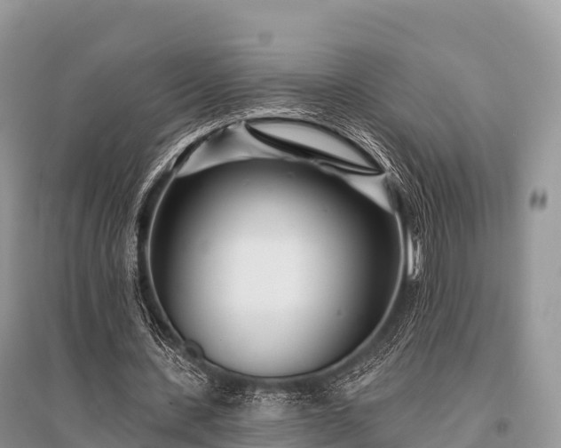 X0000096150531200801251106