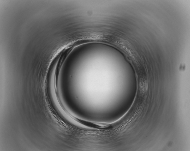 X0000096150532200801251106