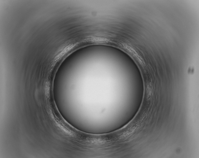 X0000096150533200801251106