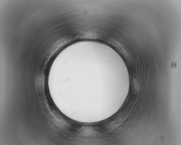 X0000096150534200801251106