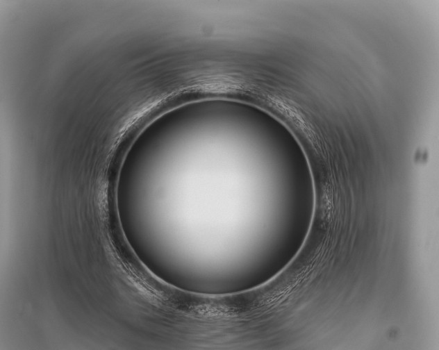 X0000096150535200801251106
