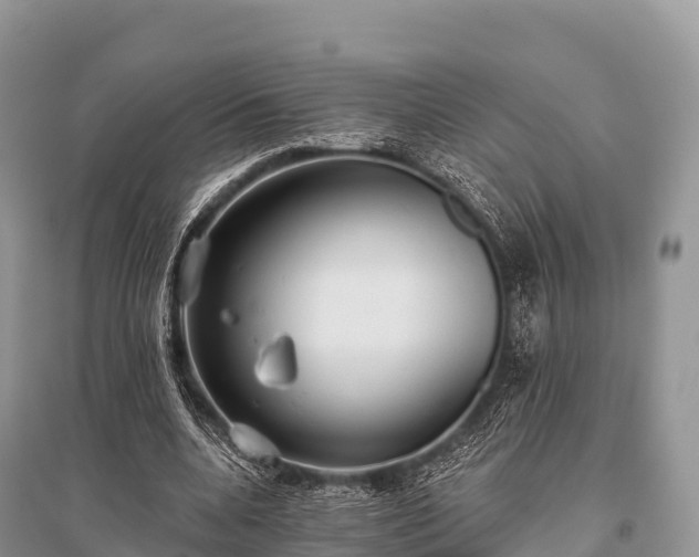X0000096150536200801251106