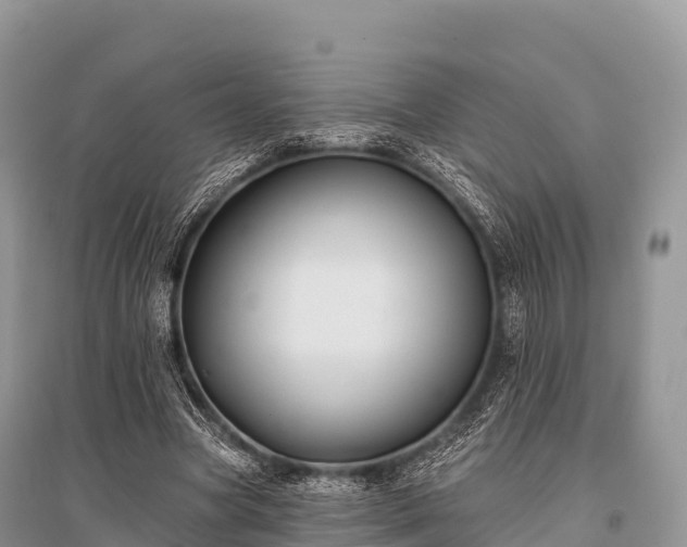 X0000096150537200801251106