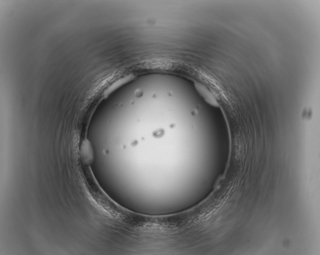 X0000096150538200801251106