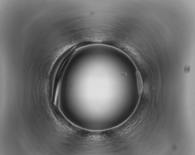X0000096150540200801251106