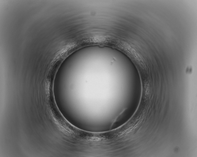 X0000096150542200801251106