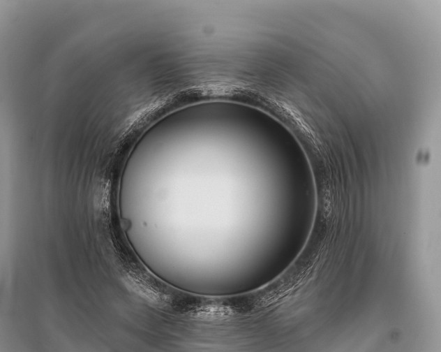 X0000096150543200801251106