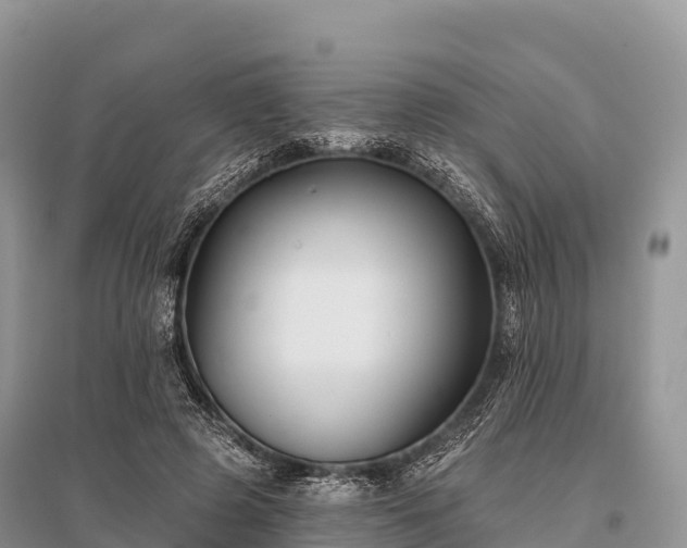 X0000096150545200801251106