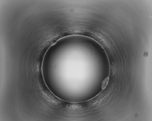X0000096150546200801251106