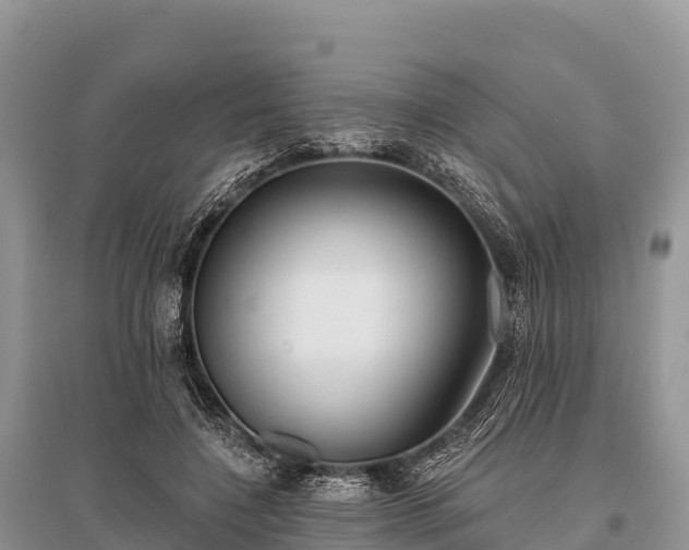 X0000096150548200801251106