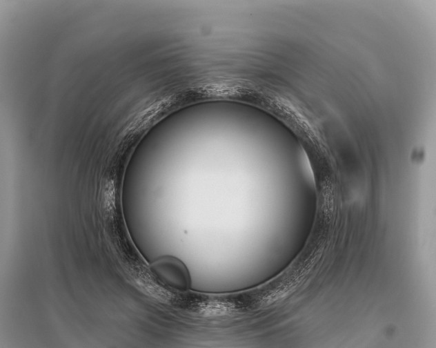 X0000096150549200801251106