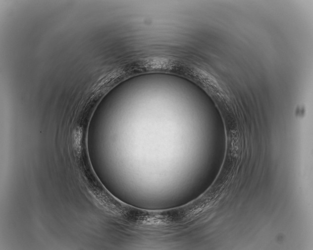 X0000096150550200801251106