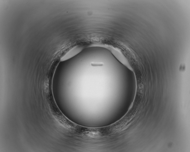X0000096150552200801251107