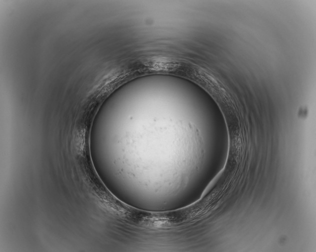 X0000096150554200801251107