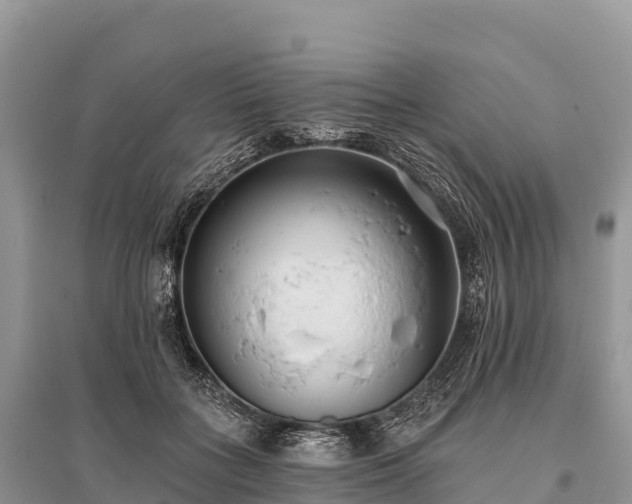 X0000096150555200801251107