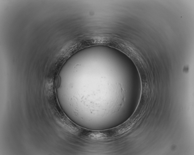 X0000096150557200801251107