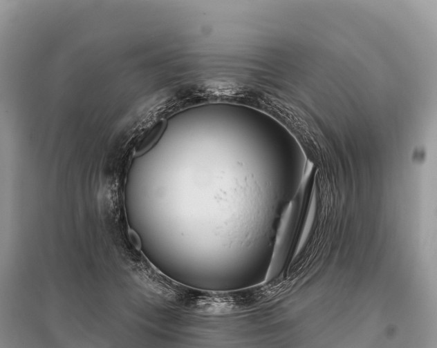 X0000096150559200801251107