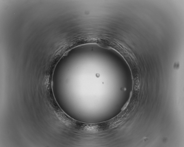 X0000096150560200801251107