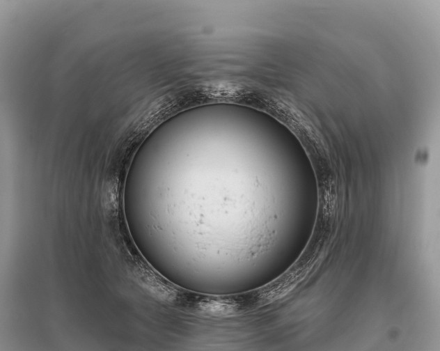 X0000096150561200801251107