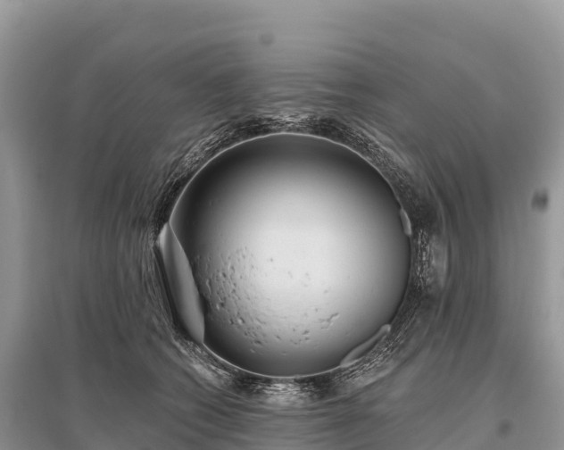 X0000096150562200801251107