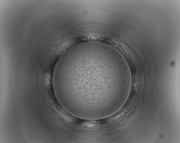 X0000096150563200801251107