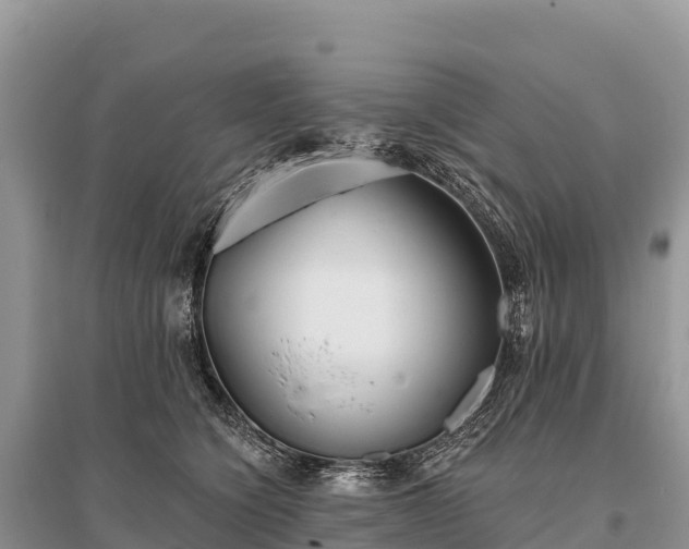 X0000096150564200801251107