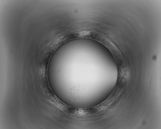 X0000096150565200801251107
