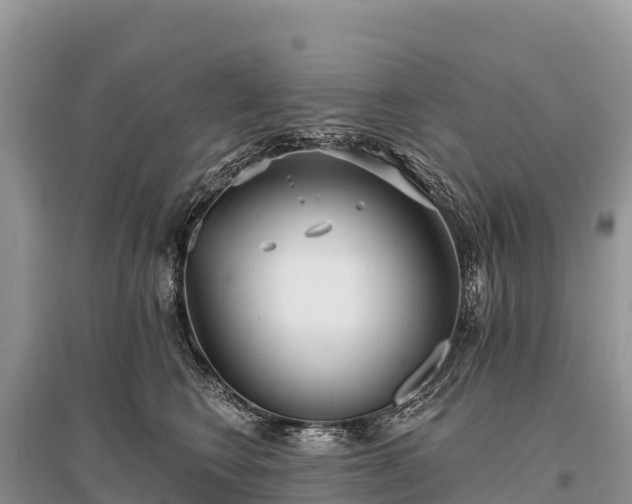 X0000096150566200801251107