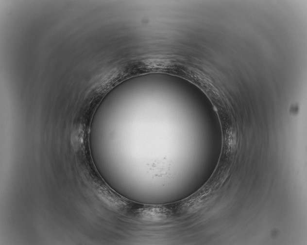 X0000096150567200801251107