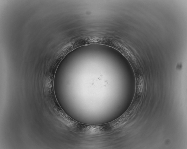 X0000096150569200801251107