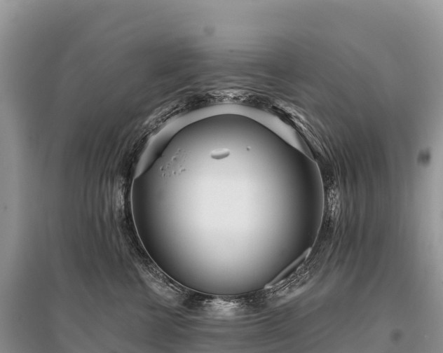 X0000096150570200801251107