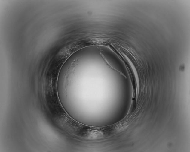 X0000096150572200801251107