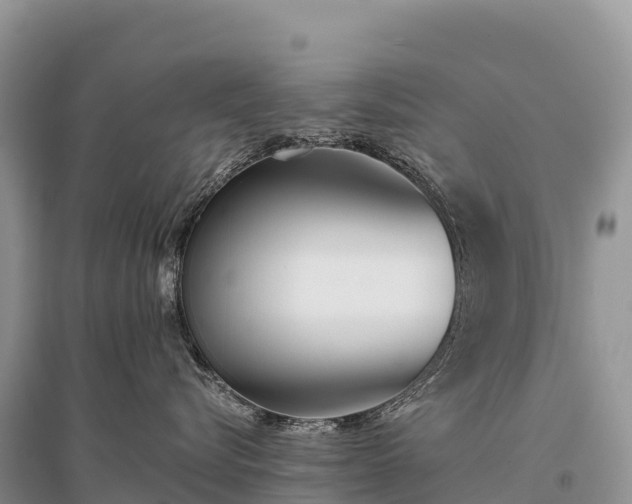 X0000096150576200801251107