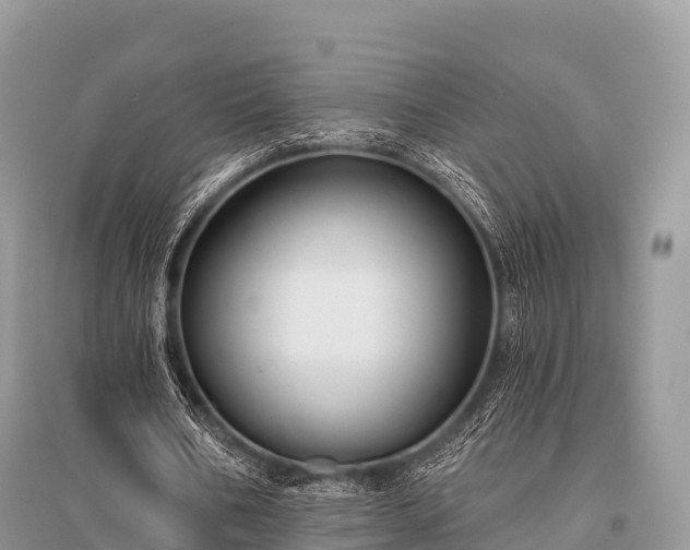 X0000096150578200801251106
