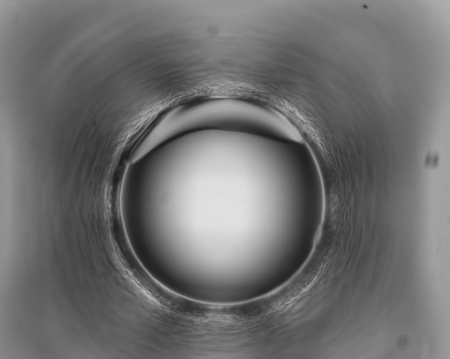 X0000096150581200801251106