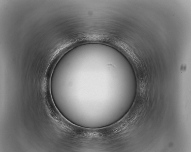 X0000096150583200801251106