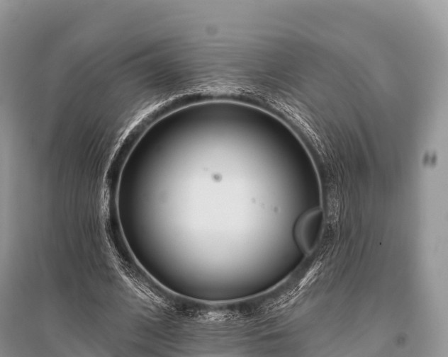X0000096150584200801251106