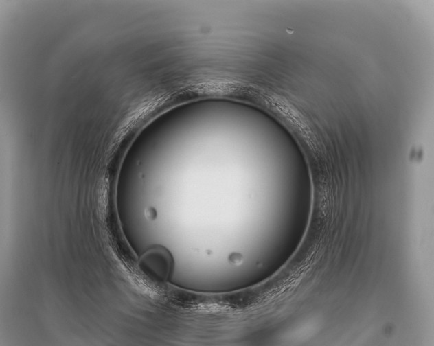 X0000096150586200801251106