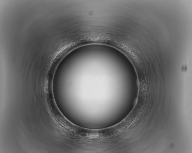 X0000096150587200801251106