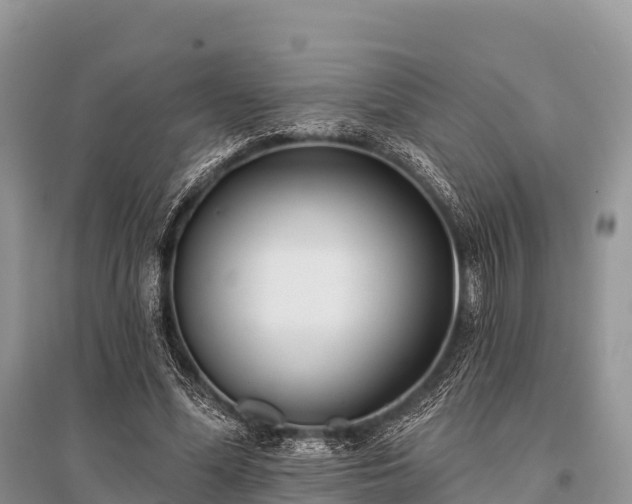 X0000096150588200801251106
