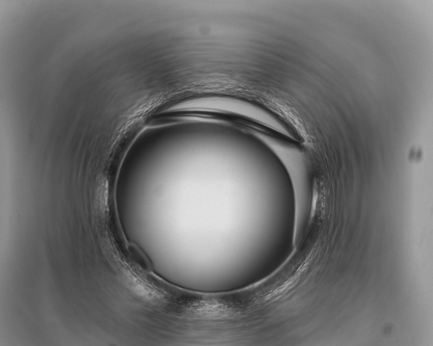 X0000096150589200801251106