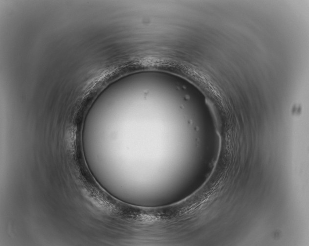 X0000096150592200801251106