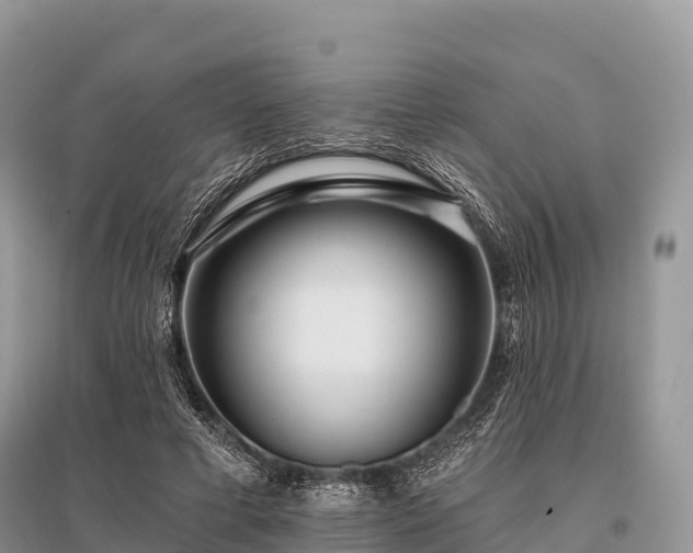 X0000096150593200801251106