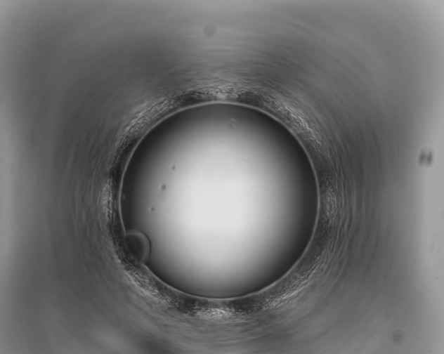 X0000096150594200801251106