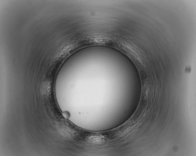 X0000096150595200801251106